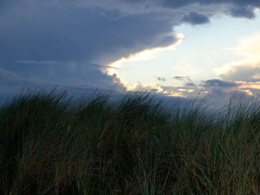 Alman kuzey denizindeki Juist Adası
