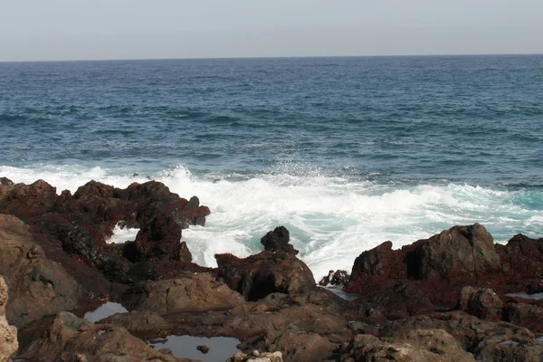 Puerto de la Cruz on Tenerife — Stock Photo, Image