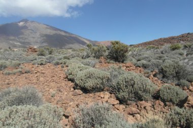 Adanın Tenerife üzerinde Volcano Teide