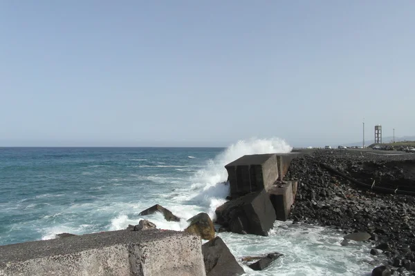 Tenerife 'de Puerto de la Cruz — Stok fotoğraf