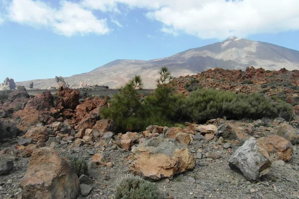 Vulcão Teide na ilha Tenerife — Fotografia de Stock