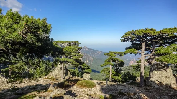 La Corsica è una bellissima isola francese nel Mar Mediterraneo — Foto Stock