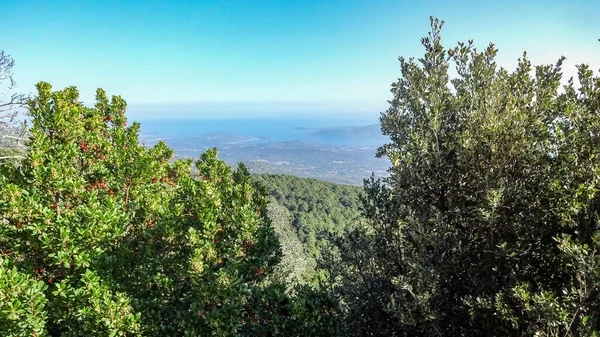 Córcega es una hermosa isla francesa en el mar Mediterráneo — Foto de Stock