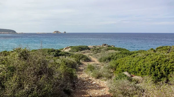 Corsica is een prachtig Frans eiland in de Middellandse Zee — Stockfoto
