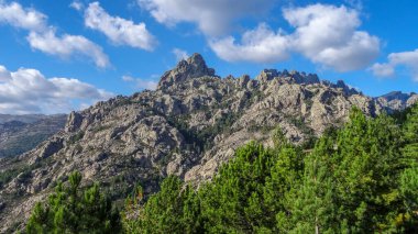 Korsika Akdeniz 'de güzel bir Fransız adasıdır.
