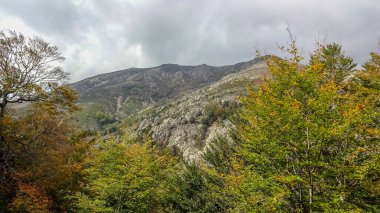 Korsika Akdeniz 'de güzel bir Fransız adasıdır.