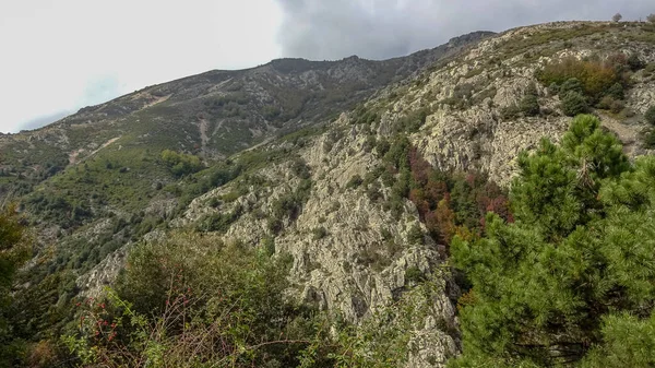 Korsika Akdeniz 'de güzel bir Fransız adasıdır. — Stok fotoğraf