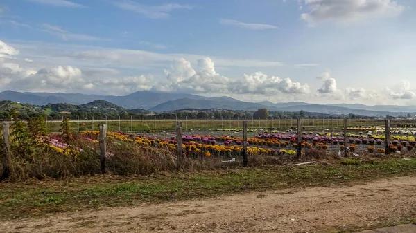 Corsica is een prachtig Frans eiland in de Middellandse Zee — Stockfoto