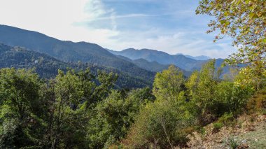Korsika Akdeniz 'de güzel bir Fransız adasıdır.