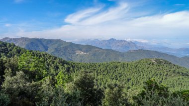 Korsika Akdeniz 'de güzel bir Fransız adasıdır.