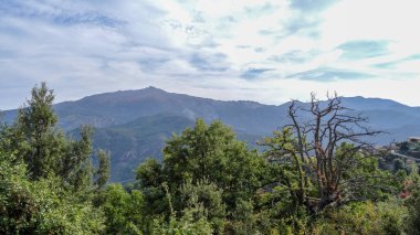 Korsika Akdeniz 'de güzel bir Fransız adasıdır.