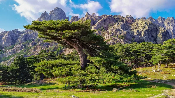 Korsika ist eine schöne französische Insel im Mittelmeer — Stockfoto