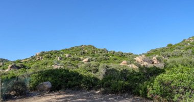Sardunya Akdeniz 'de güzel bir İtalyan adasıdır.