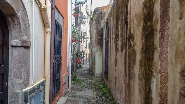 Sardunya Akdeniz 'de güzel bir İtalyan adasıdır.