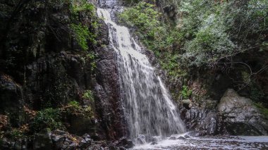 Sardunya Akdeniz 'de güzel bir İtalyan adasıdır.
