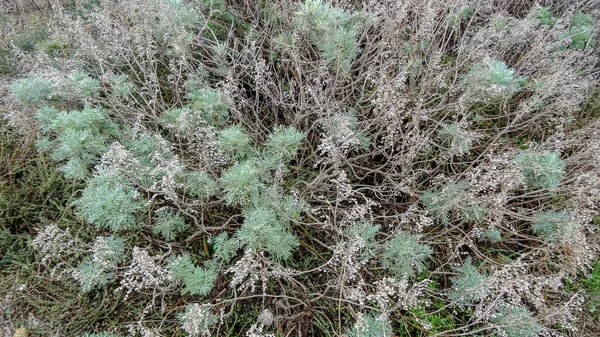 撒丁岛是一个位于地中海的美丽的意大利岛屿 — 图库照片