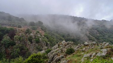 Sardunya Akdeniz 'de güzel bir İtalyan adasıdır.