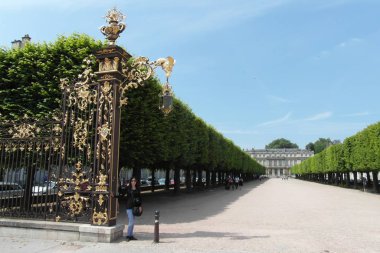 Nancy Fransa 'nın Lorraine şehrinde güzel bir şehirdir.