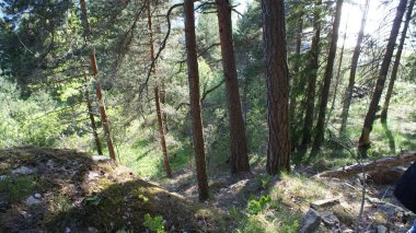 Oslo Norveç 'in başkenti, parkları olan güzel bir şehir.