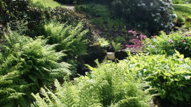 Oslo Norveç 'in başkenti, parkları olan güzel bir şehir.