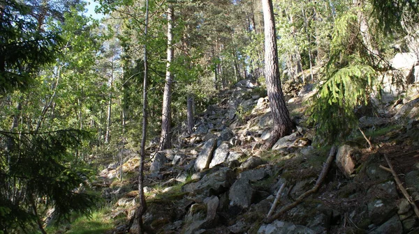 Oslo ist die Hauptstadt Norwegens, eine wunderschöne Stadt mit Parks — Stockfoto