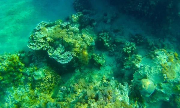 Eilat es un hermoso complejo en el Mar Rojo, Israel — Foto de Stock