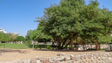 Eilat, İsrail 'de Kızıldeniz' de güzel bir tatil beldesi.