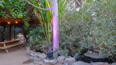 Eilat, İsrail 'de Kızıldeniz' de güzel bir tatil beldesi.