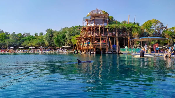 Eilat, İsrail 'de Kızıldeniz' de güzel bir tatil beldesi.