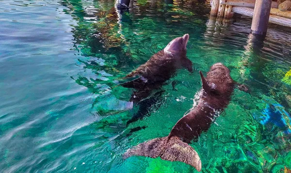 Eilat é um belo resort no Mar Vermelho, Israel — Fotografia de Stock