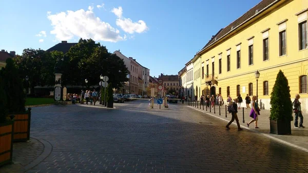 Magyarország fővárosa, Budapest gyönyörű városa — Stock Fotó