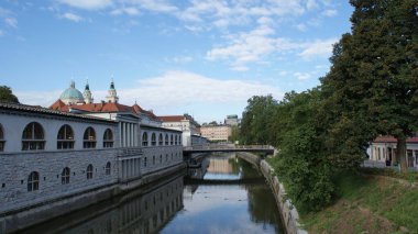Ljubljana Slovenya 'nın başkentidir, güzel bir şehirdir.