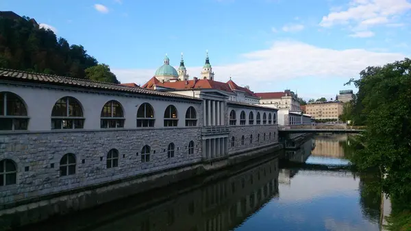 Ljubljana Slovenya 'nın başkentidir, güzel bir şehirdir. — Stok fotoğraf