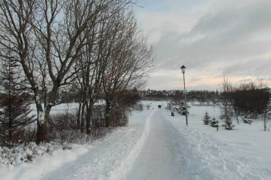 İzlanda 'nın çarpıcı doğası ve mimarisi