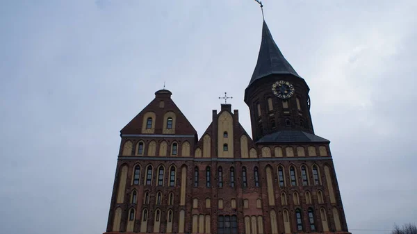 Nowoczesne europejskie miasto Kaliningrad w Rosji — Zdjęcie stockowe