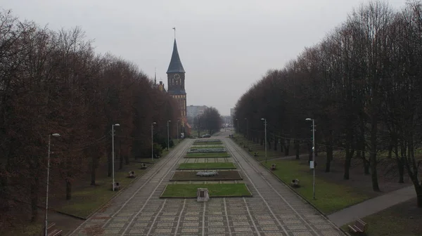 La moderna ciudad europea de Kaliningrado en Rusia —  Fotos de Stock