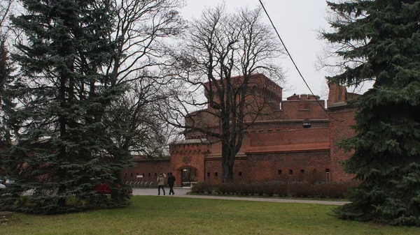 Nowoczesne europejskie miasto Kaliningrad w Rosji — Zdjęcie stockowe