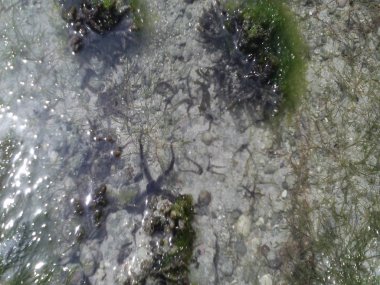 Dar es Salaam 'da Tatil