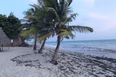 Dar es Salaam 'da Tatil