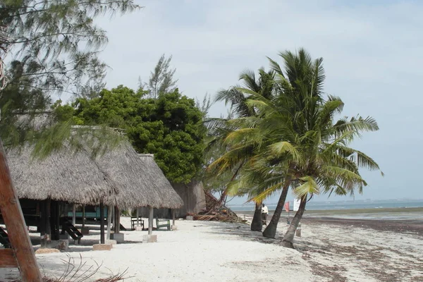 Vacaciones en Dar es Salaam — Foto de Stock