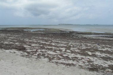 Dar es Salaam 'da Tatil