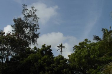 Dar es Salaam 'da Tatil