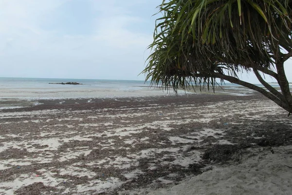 Dar es Salaam 'da Tatil — Stok fotoğraf