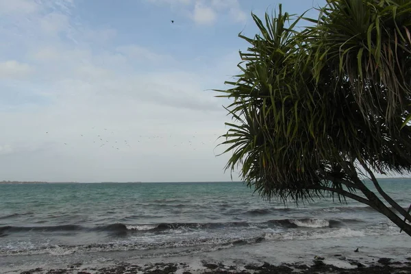 Vakantie in Dar es Salaam — Stockfoto