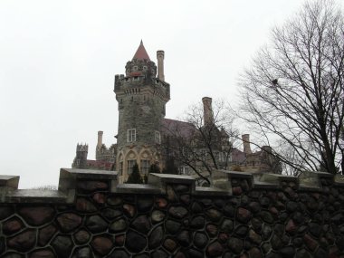 Toronto Kanada 'da güzel bir şehirdir.