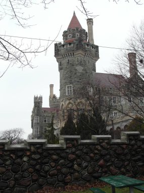 Toronto Kanada 'da güzel bir şehirdir.