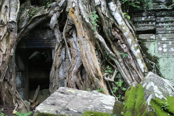 Angkor Wat är ett hinduiskt tempel i Kambodja — Stockfoto