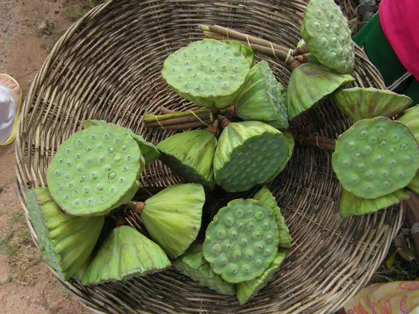 Siem Reap - prachtige stad in Cambodja. — Stockfoto