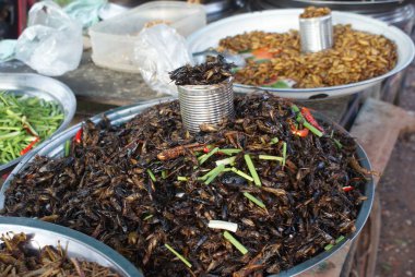 Siem Reap - Kamboçya 'nın güzel şehri.