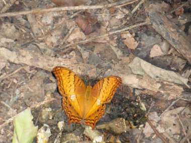 Tayland 'da Eravan Şelalesi, Güneydoğu Asya